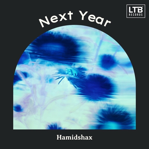 Hamidshax - Next Year [LTB168]